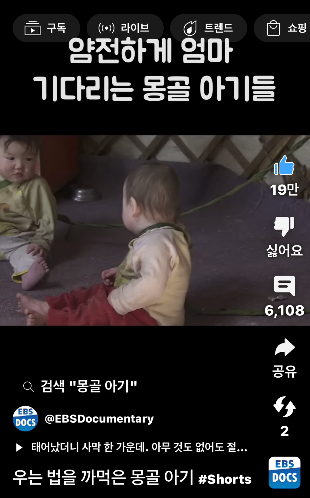몽골에선-아기를-묶어놓는다면서?-몽골인:-예????-1-이미지