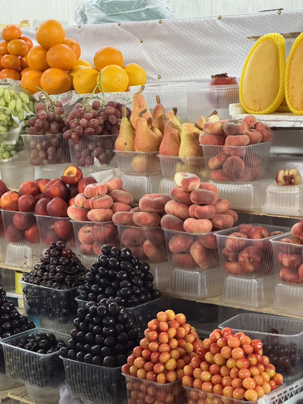 여자-혼자-카자흐스탄-알마티-여행-후기-2-이미지