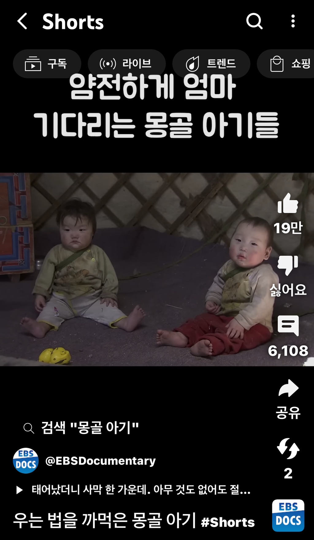 몽골에선-아기를-묶어놓는다면서?-몽골인:-예????-0-이미지