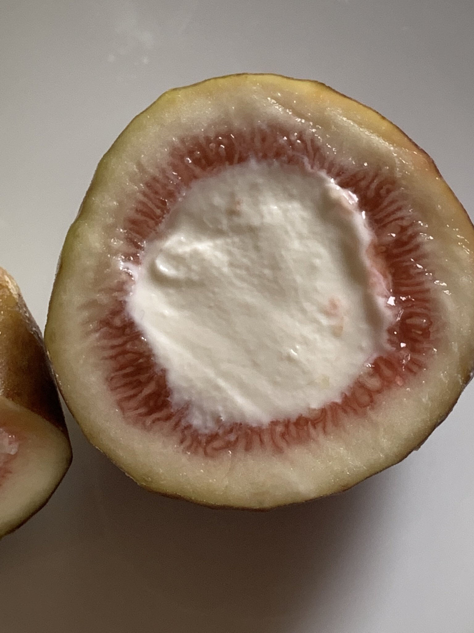 그릭복숭아는-가라.-그릭무화과가-왔다.-1-이미지