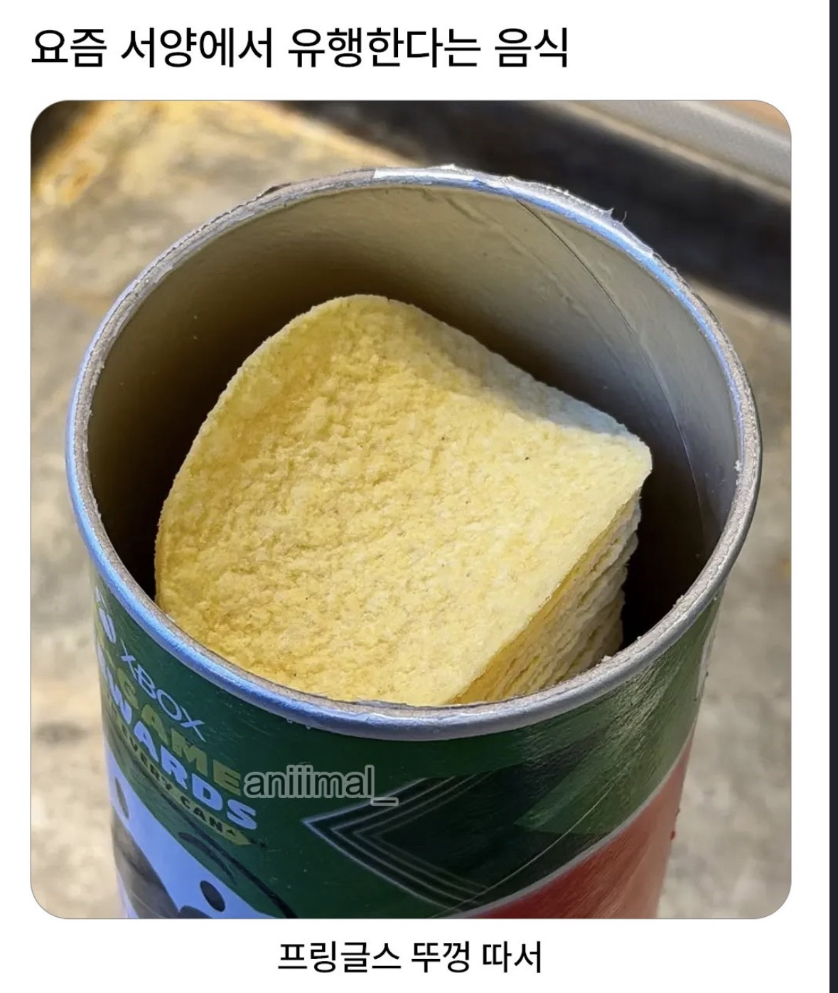 서양-애들이-요즘-해먹는다는-음식-1-이미지