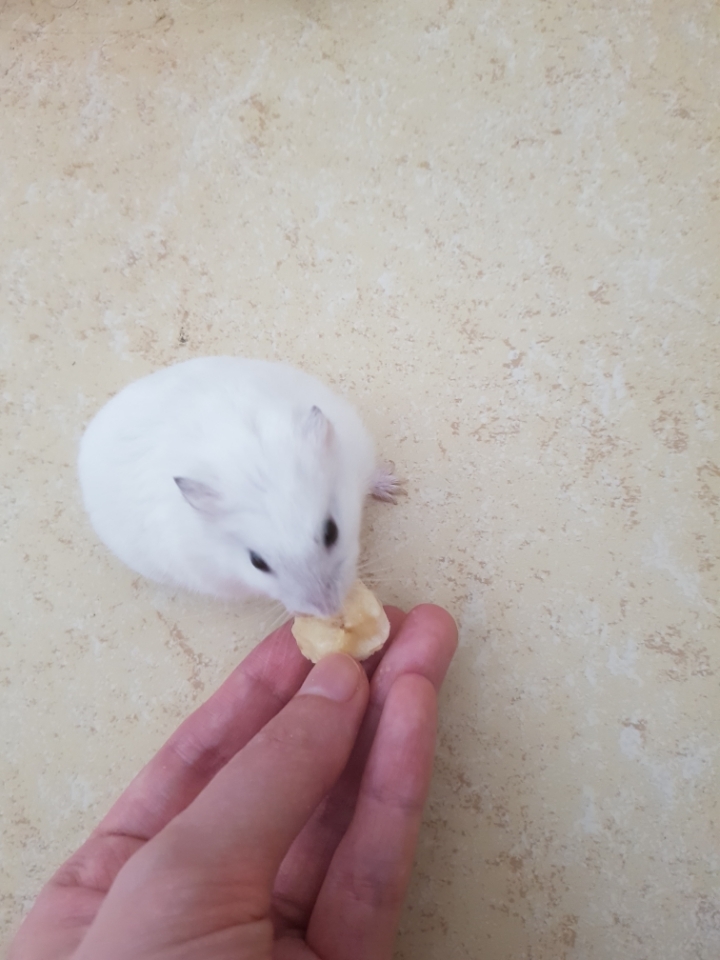 5초안에-자기-식단이-괜찮은지-확인하는-법.twt-2-이미지