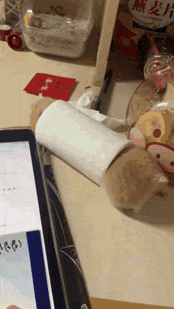 휴지심에-끼어버린-햄찌-0-이미지