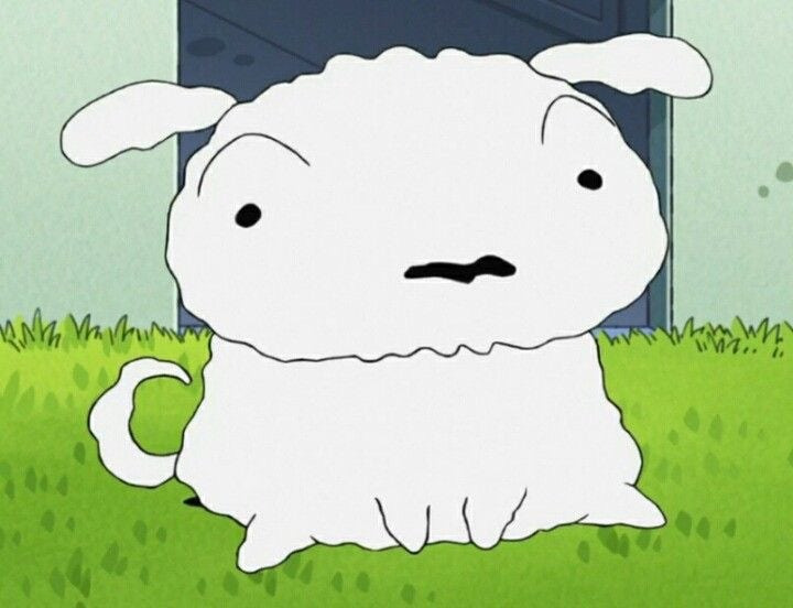 실제-흰둥이같은-몽골-강아지-2-이미지