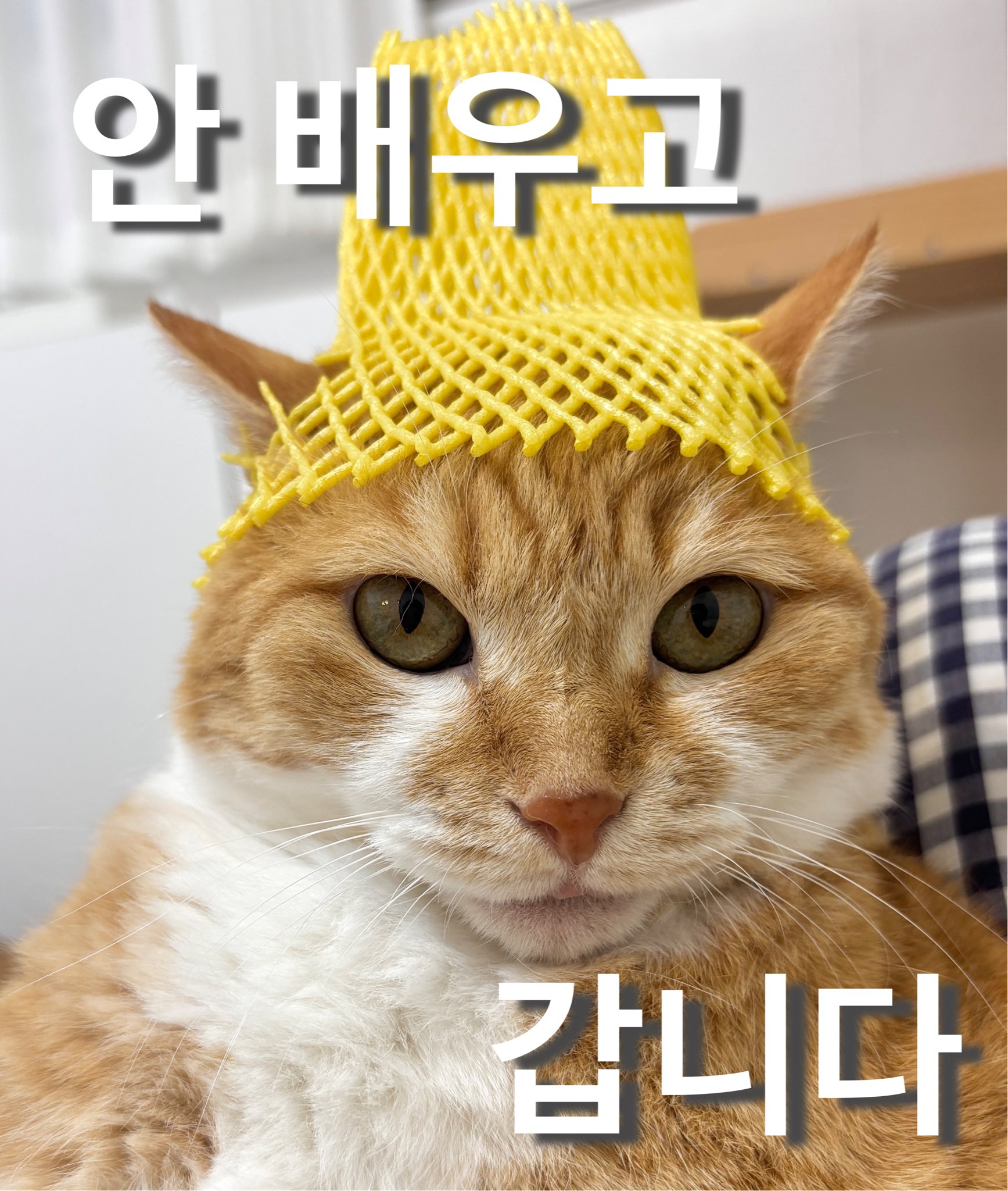 사실-원조가-따로-있다는-버터떡.jpg-13-이미지