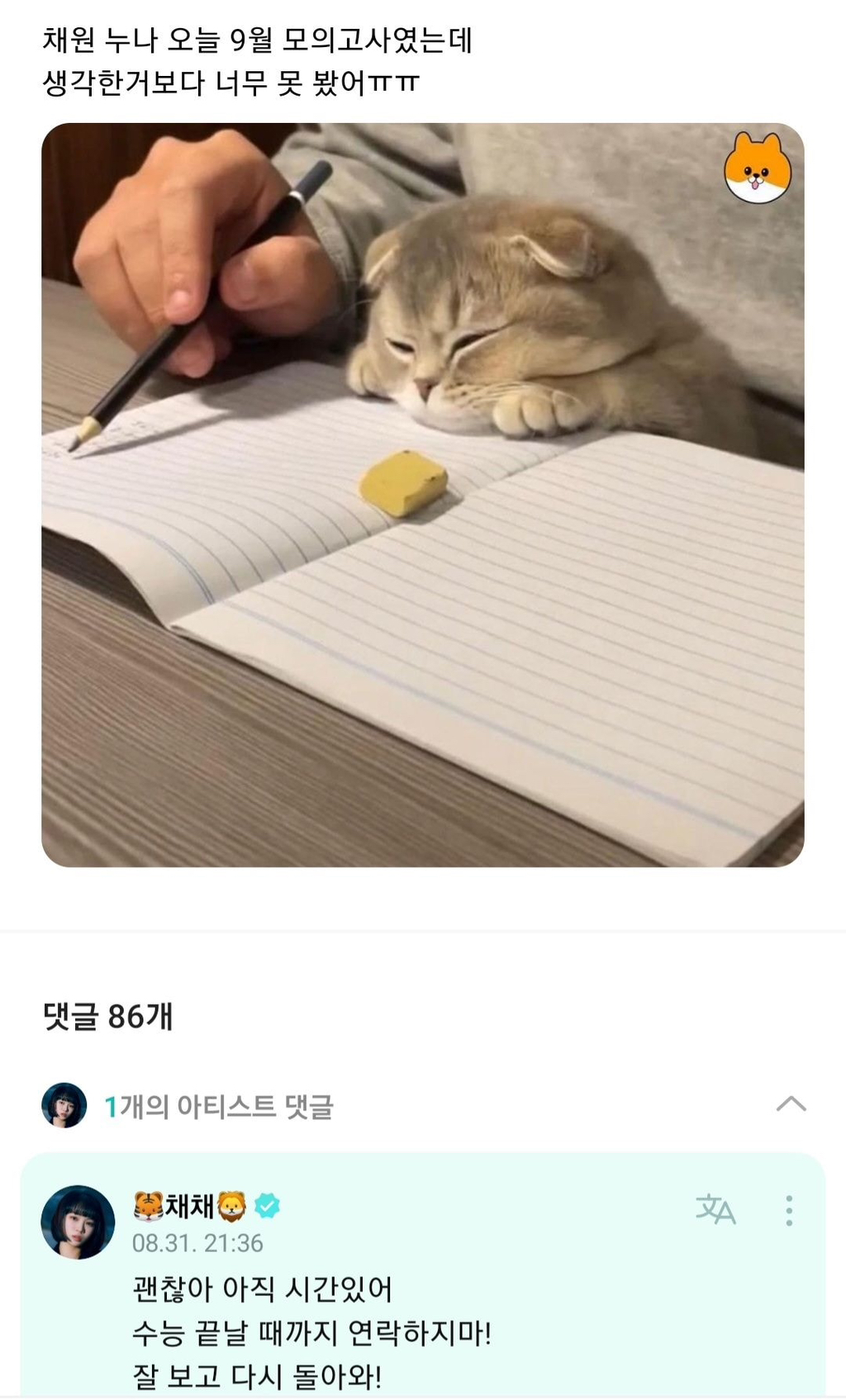 ???-:-야-ISTP-아이돌들-고민상담-컨텐츠-못하게해라-9-이미지