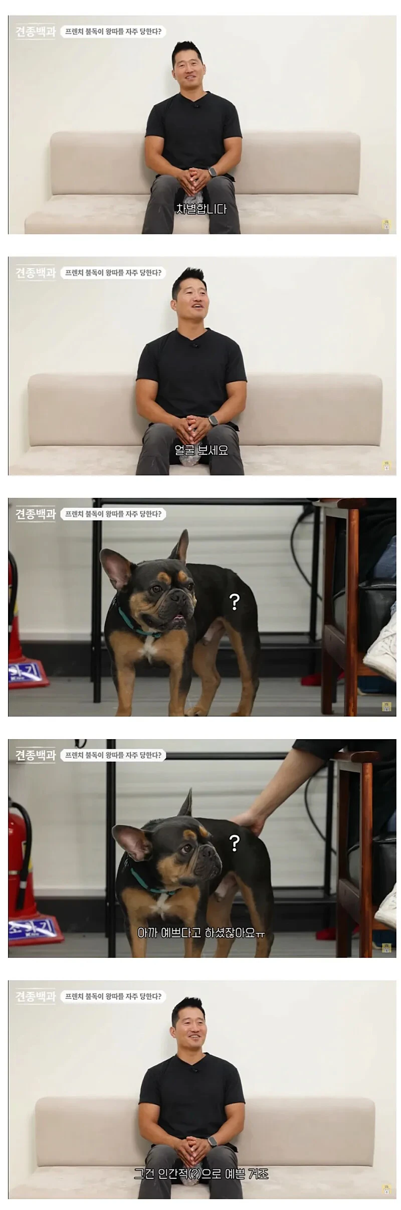 유독-왕따를-자주-당하는-견종-3-이미지