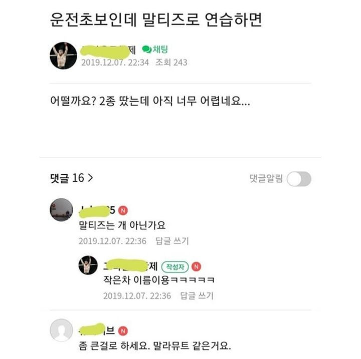운전초보인데-말티즈로-연습하면-되나요?-0-이미지