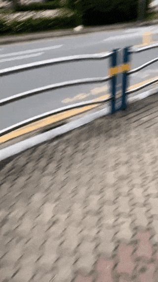 동물병원-앞을-지나가는-강아지-0-이미지