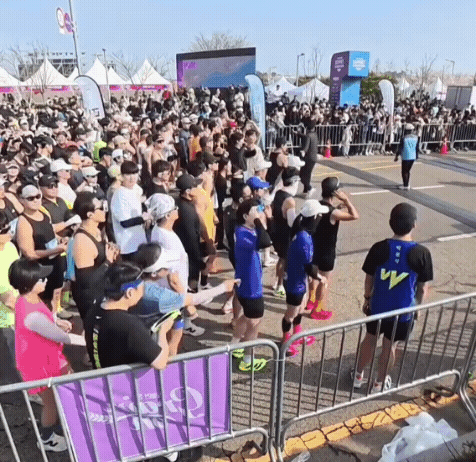 어제자-인천-마라톤,-출발자-대열에-달려든-고라니-2-이미지