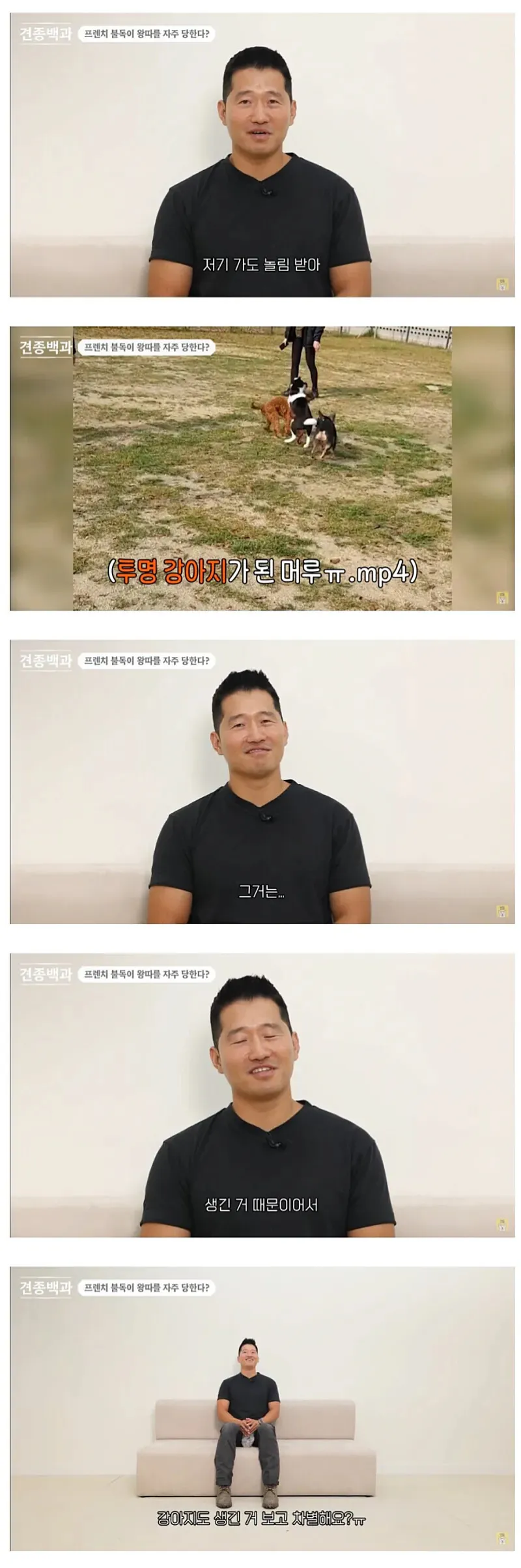 유독-왕따를-자주-당하는-견종-2-이미지