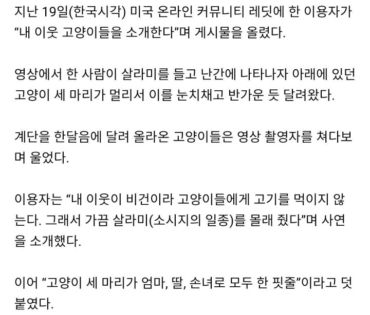 비건주인-때문에-강제-채식한-고양이들-3-이미지