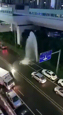 무료세차-모음-0-이미지