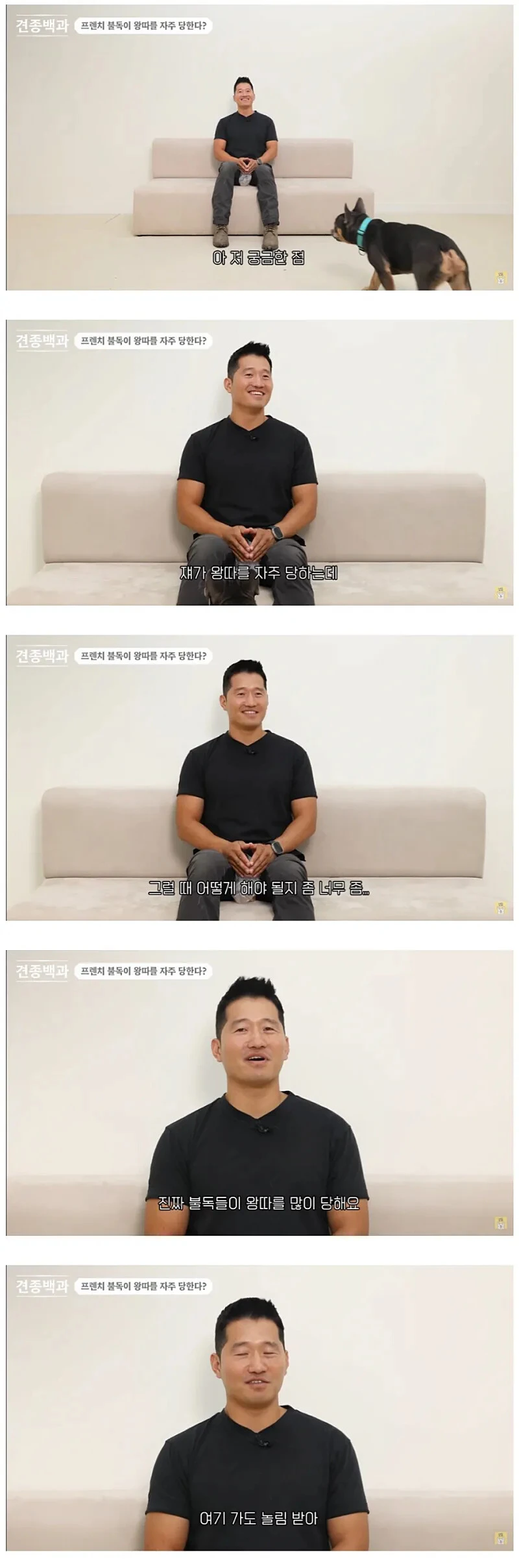 유독-왕따를-자주-당하는-견종-1-이미지