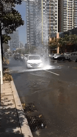 무료세차-모음-5-이미지