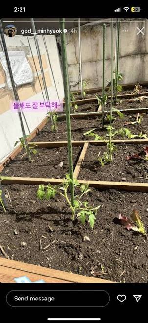 [KBO]-야구장-입구에-의문의-상자들이-생긴-이유-5-이미지