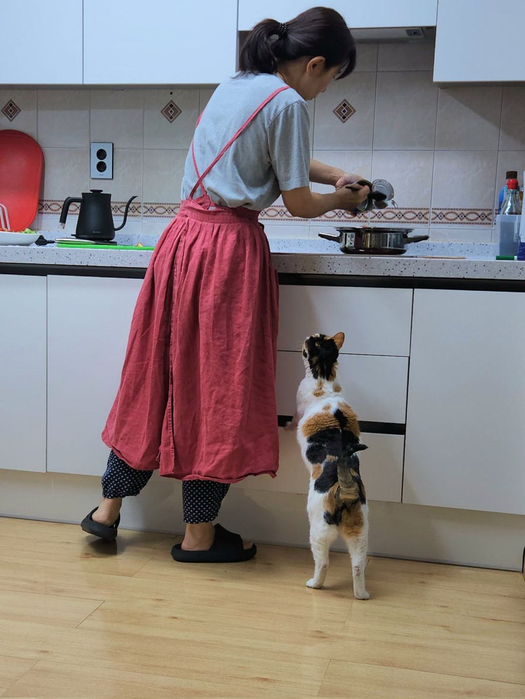 고양이-키우는-집에서-참치김치찌개를-끓였다-0-이미지