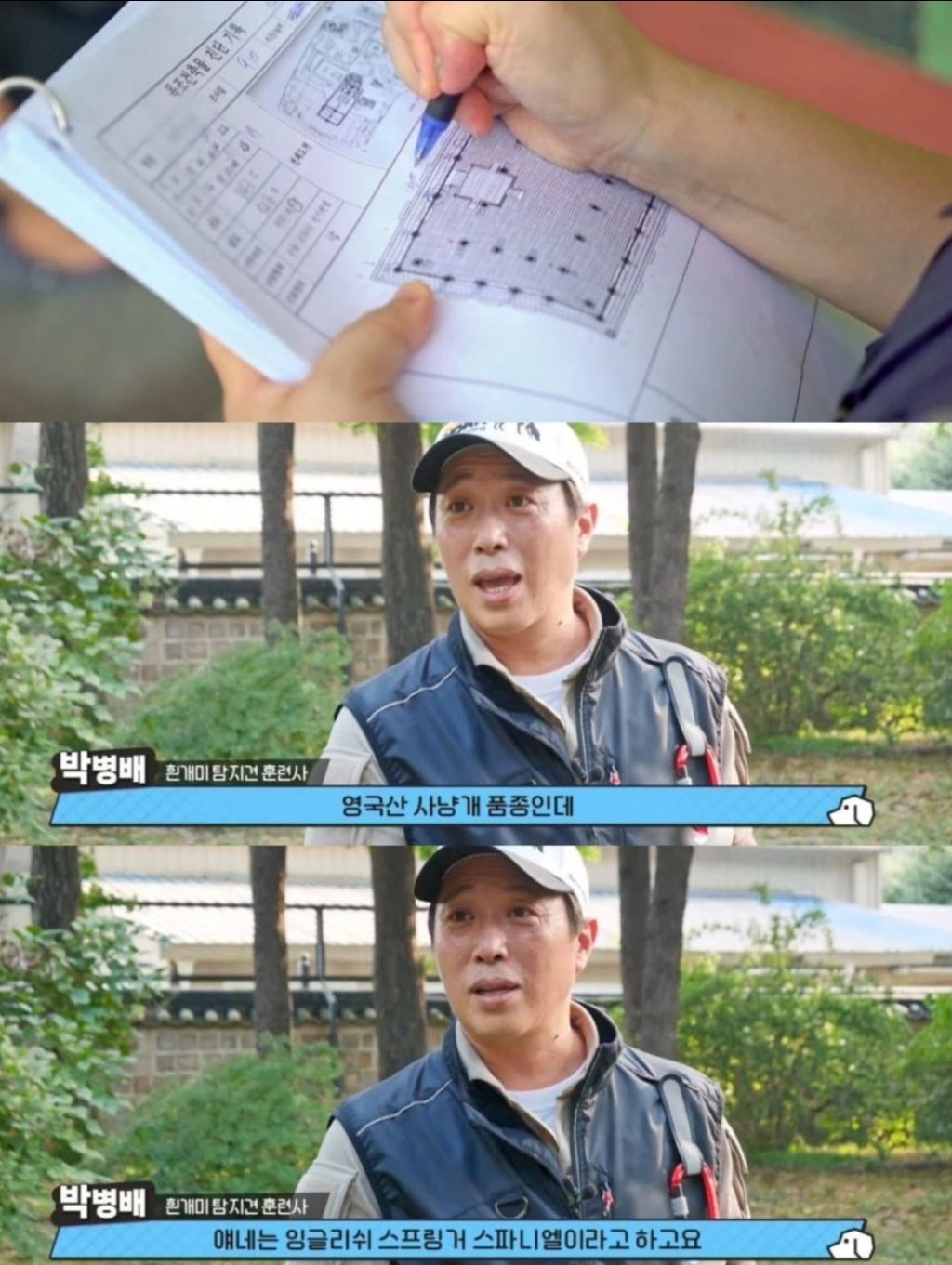 반려동물-출입금지인-경복궁에-나타난-댕댕이-7-이미지