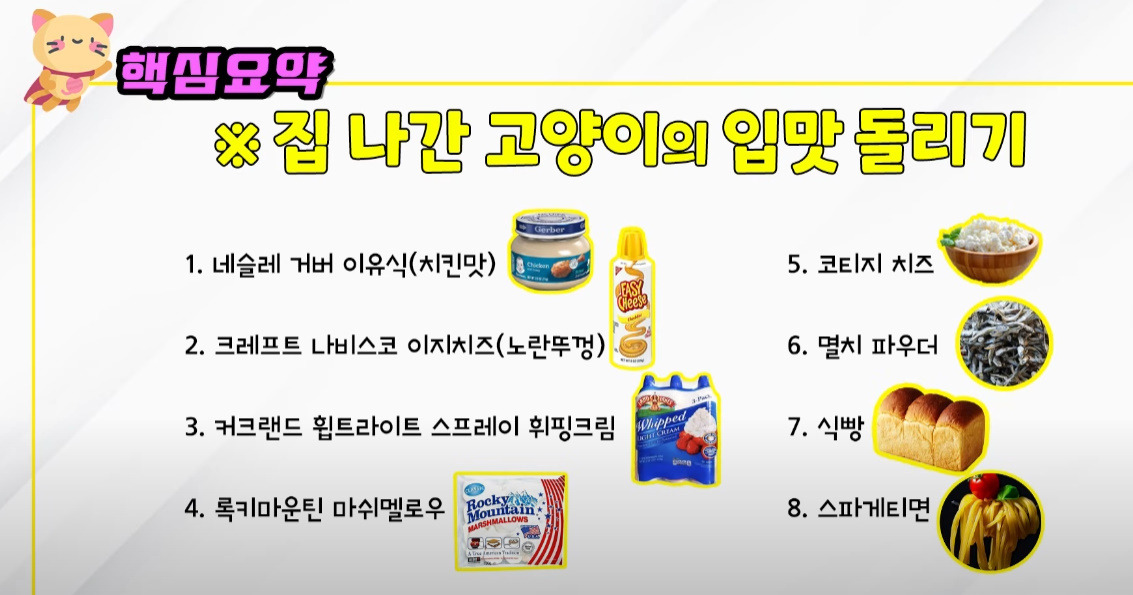 수의사가-얘기한-고양이가-좋아하는-사람음식-0-이미지