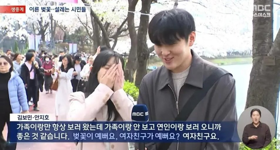 2년-만에-교체된-벚꽃-주접.jpg-2-이미지