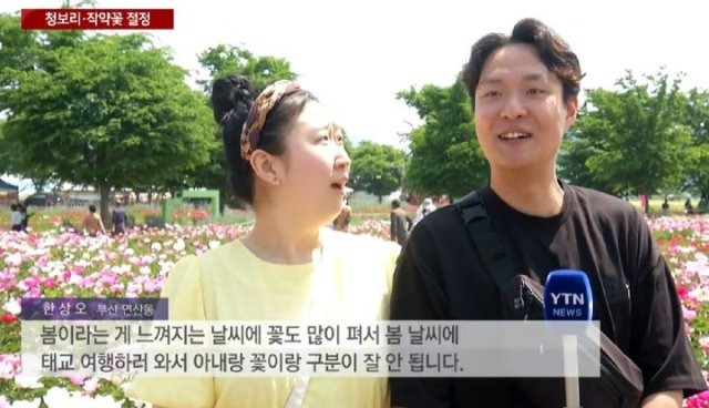 2년-만에-교체된-벚꽃-주접.jpg-1-이미지