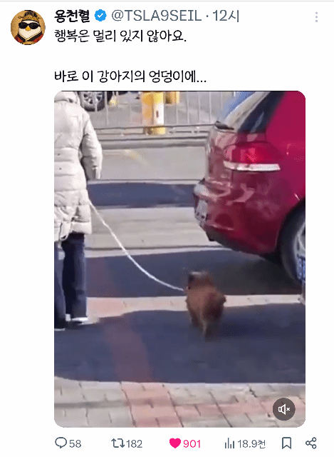 뚱땅뚱땅뚱땅뚱땅🎶-0-이미지