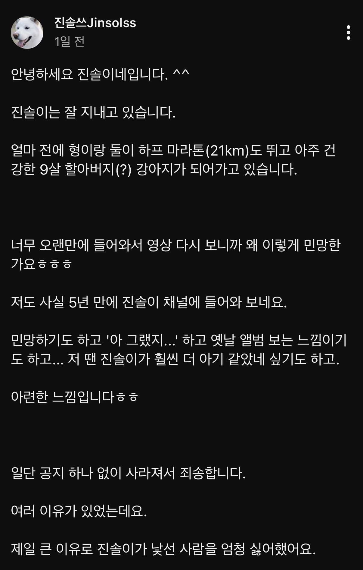 약-5년만에-소식-전한-강아지-유튜버-진솔쓰-(진돗개-진솔이일기)-1-이미지