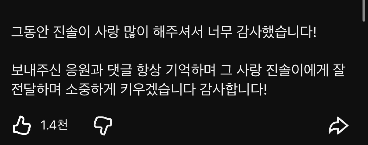 약-5년만에-소식-전한-강아지-유튜버-진솔쓰-(진돗개-진솔이일기)-4-이미지
