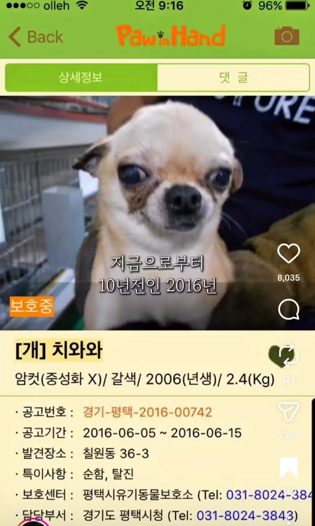 10년전-유기견을-입양했었던-사람한테-다시-연락을-해봤다-0-이미지