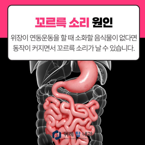 마운자로-위고비-맞는-사람들의-진짜-신기한-공통된-후기-2-이미지