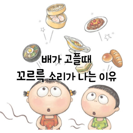 마운자로-위고비-맞는-사람들의-진짜-신기한-공통된-후기-3-이미지