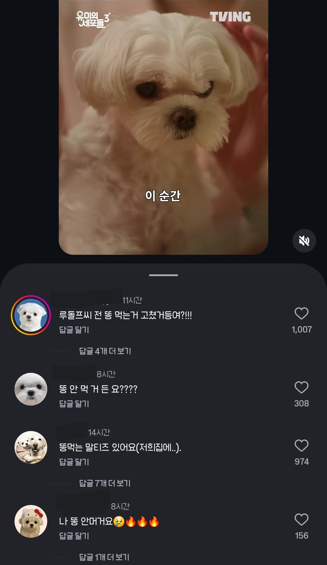 유미의-세포들-보고-전부-긁혀버린-전국-말티즈들-3-이미지