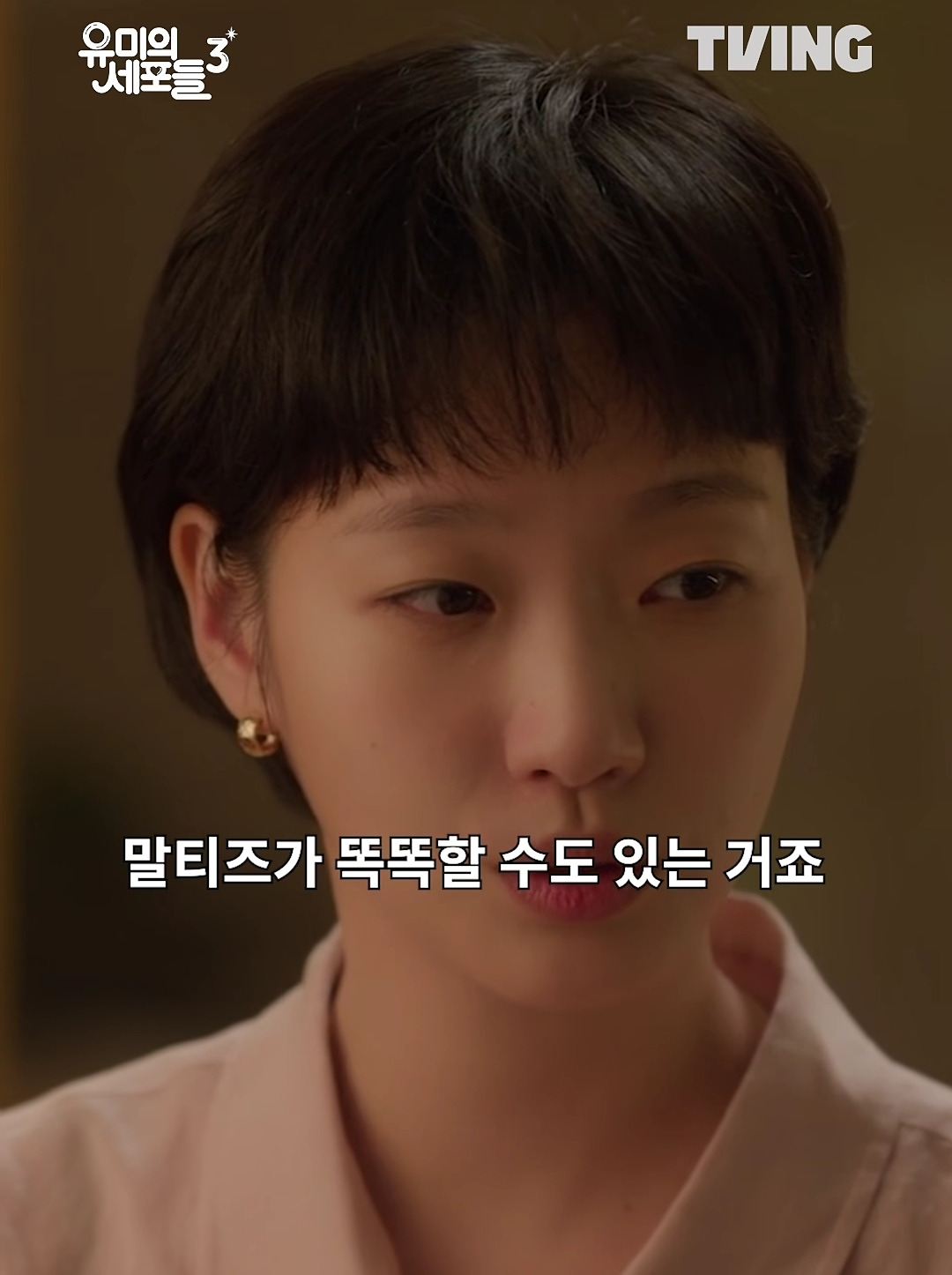 유미의-세포들-보고-전부-긁혀버린-전국-말티즈들-0-이미지