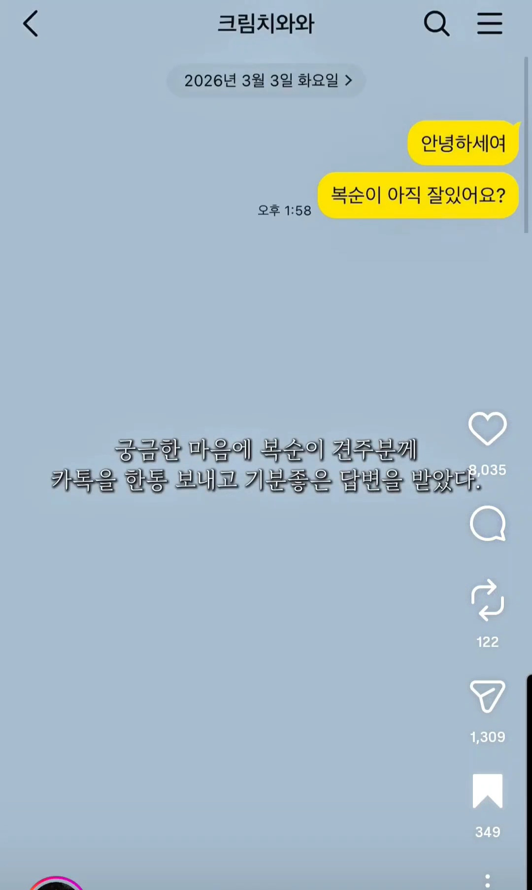 10년전-유기견을-입양했었던-사람한테-다시-연락을-해봤다-4-이미지