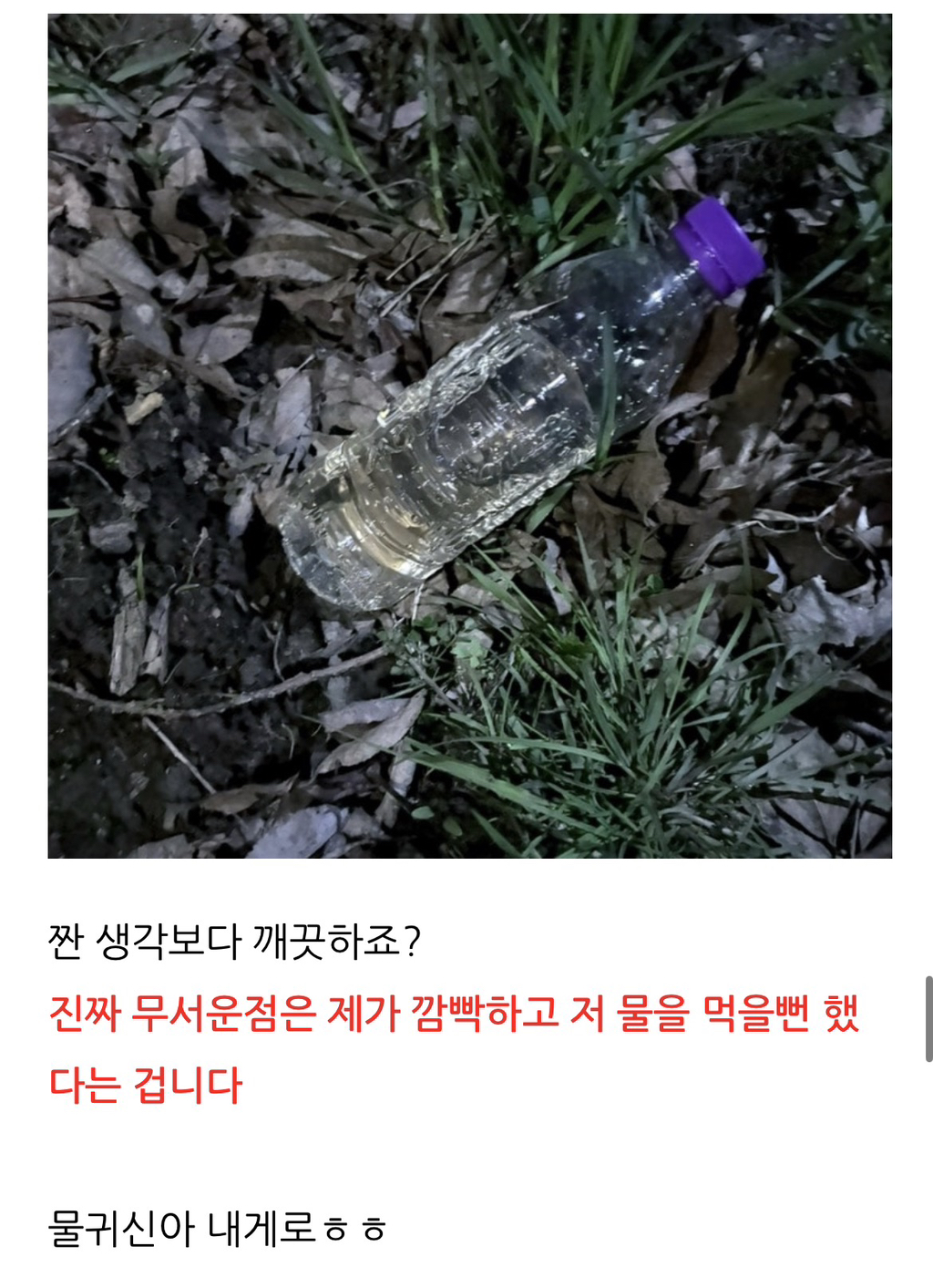 살목지-다녀온-후기(+살목지-물-떠왔어요)-18-이미지