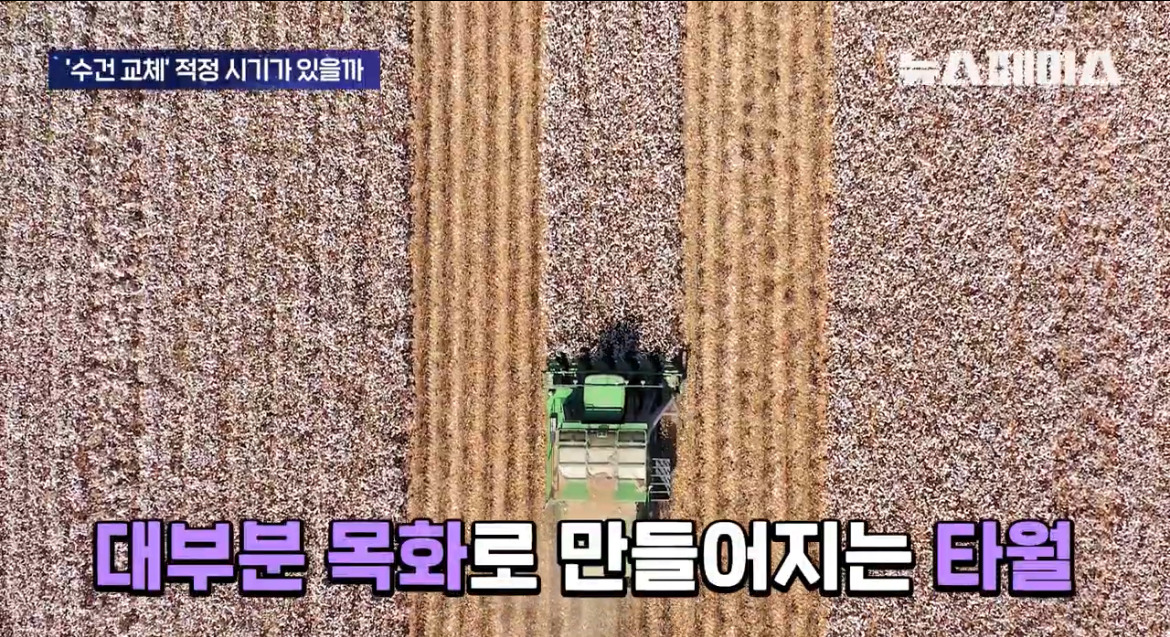 수건은-1년-쓰고-무조건-교체해야한다?-2-이미지