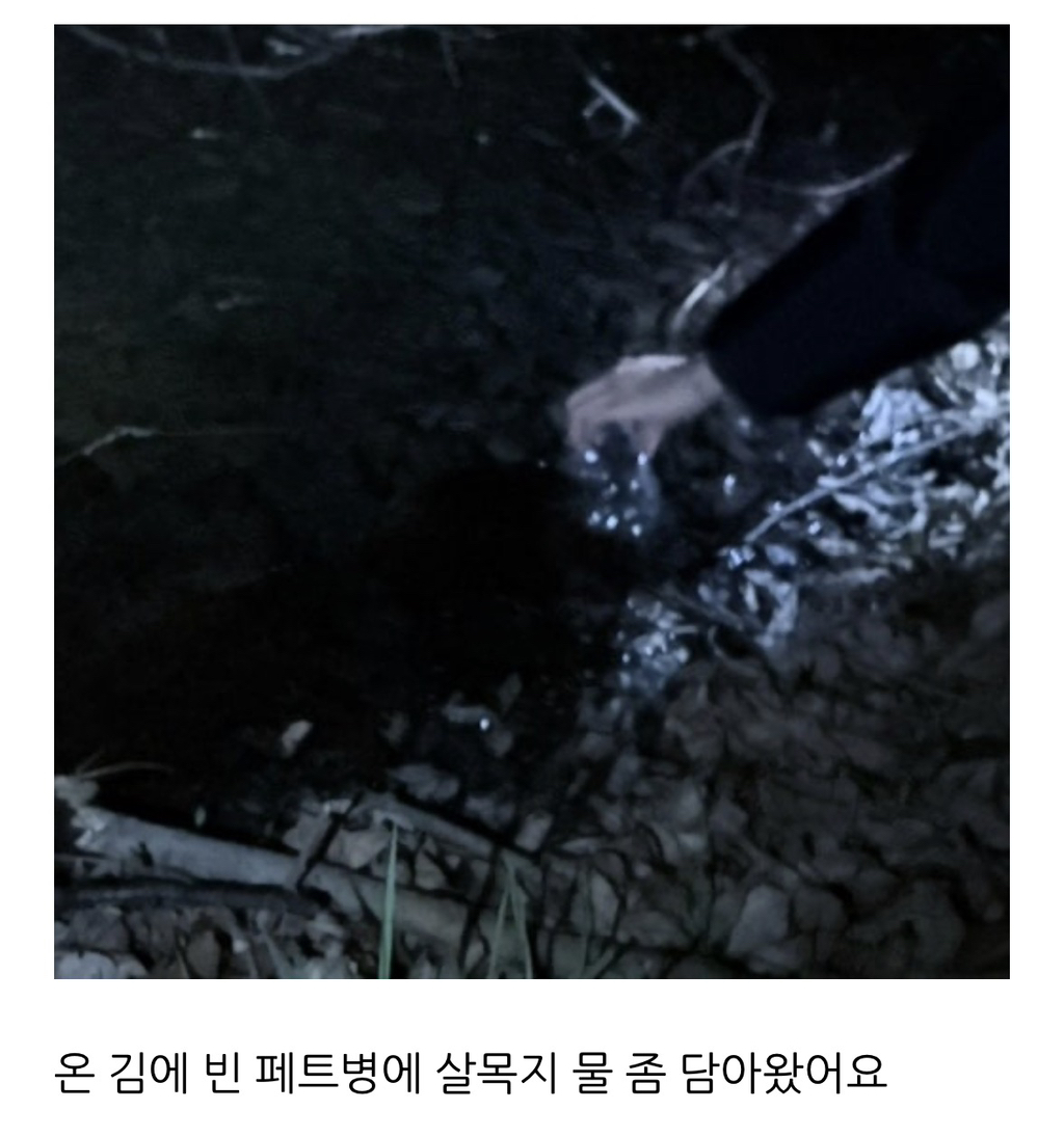 살목지-다녀온-후기(+살목지-물-떠왔어요)-17-이미지