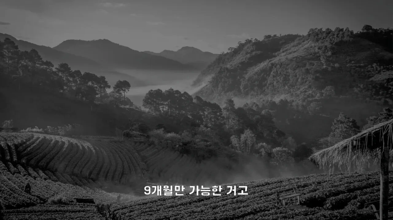 4년째-해외여행중인-유튜버가-뽑은-최악-여행지.JPG-25-이미지