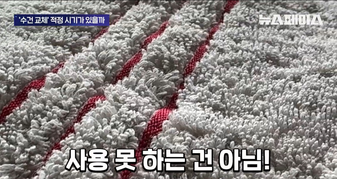 수건은-1년-쓰고-무조건-교체해야한다?-6-이미지