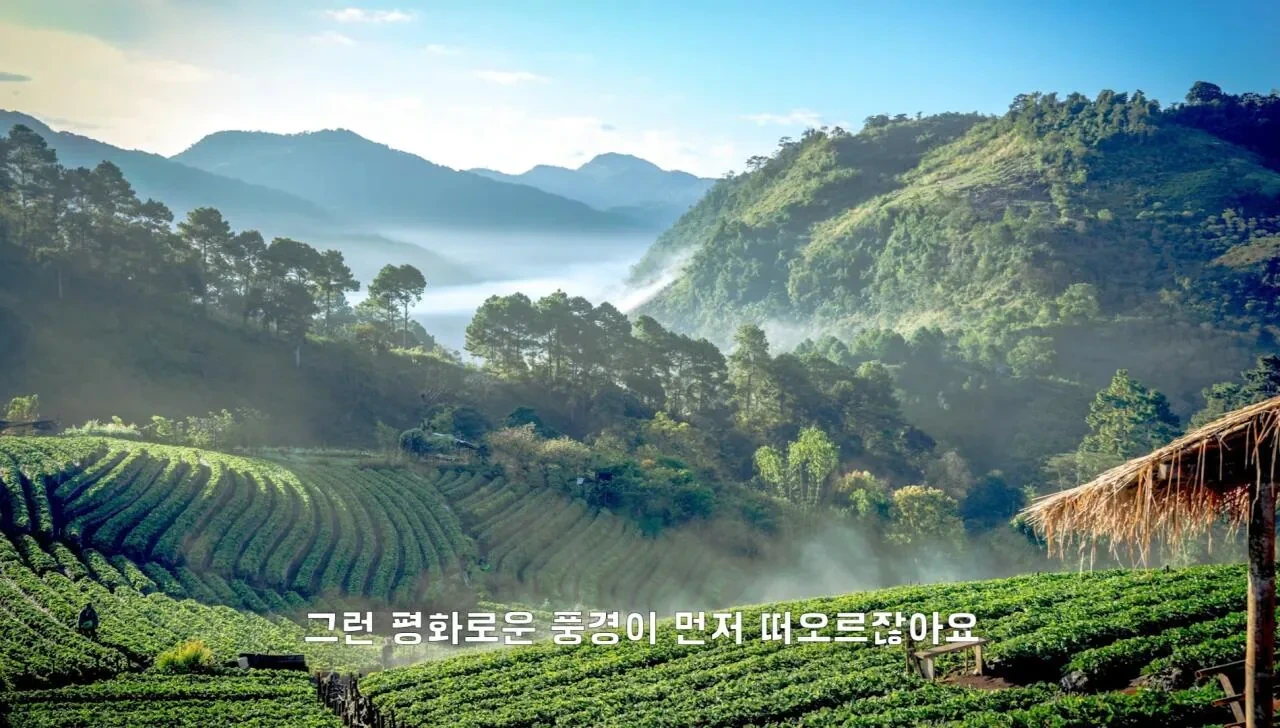 4년째-해외여행중인-유튜버가-뽑은-최악-여행지.JPG-23-이미지