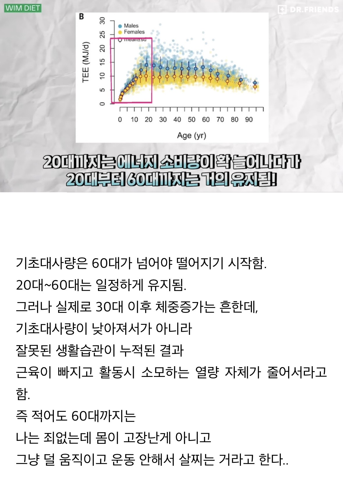 30대-넘으면-기초대사량-떨어진다는거-구라임-0-이미지
