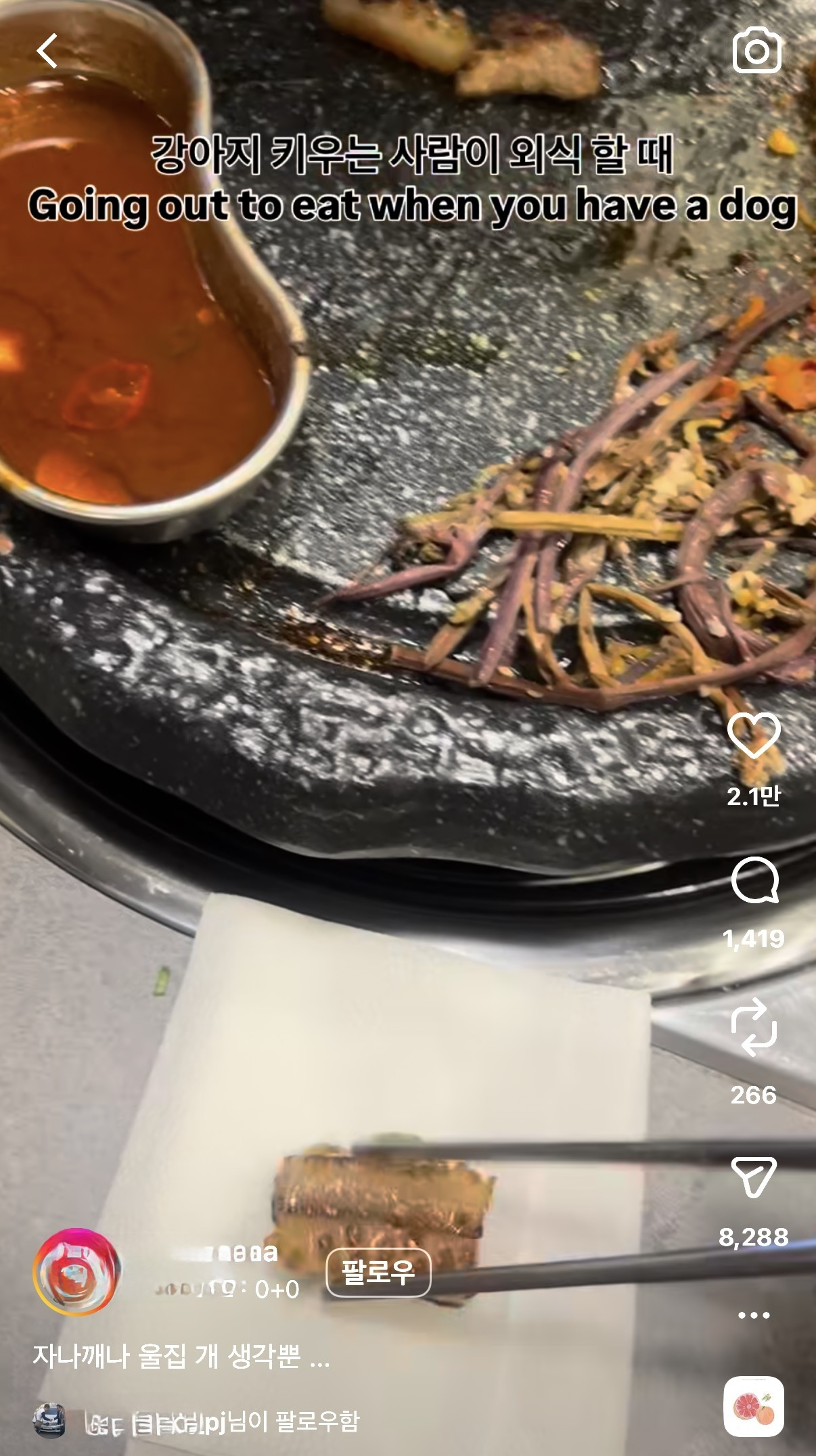 어떤사람이-자기반려견에게-고기를-줬는데-1-이미지