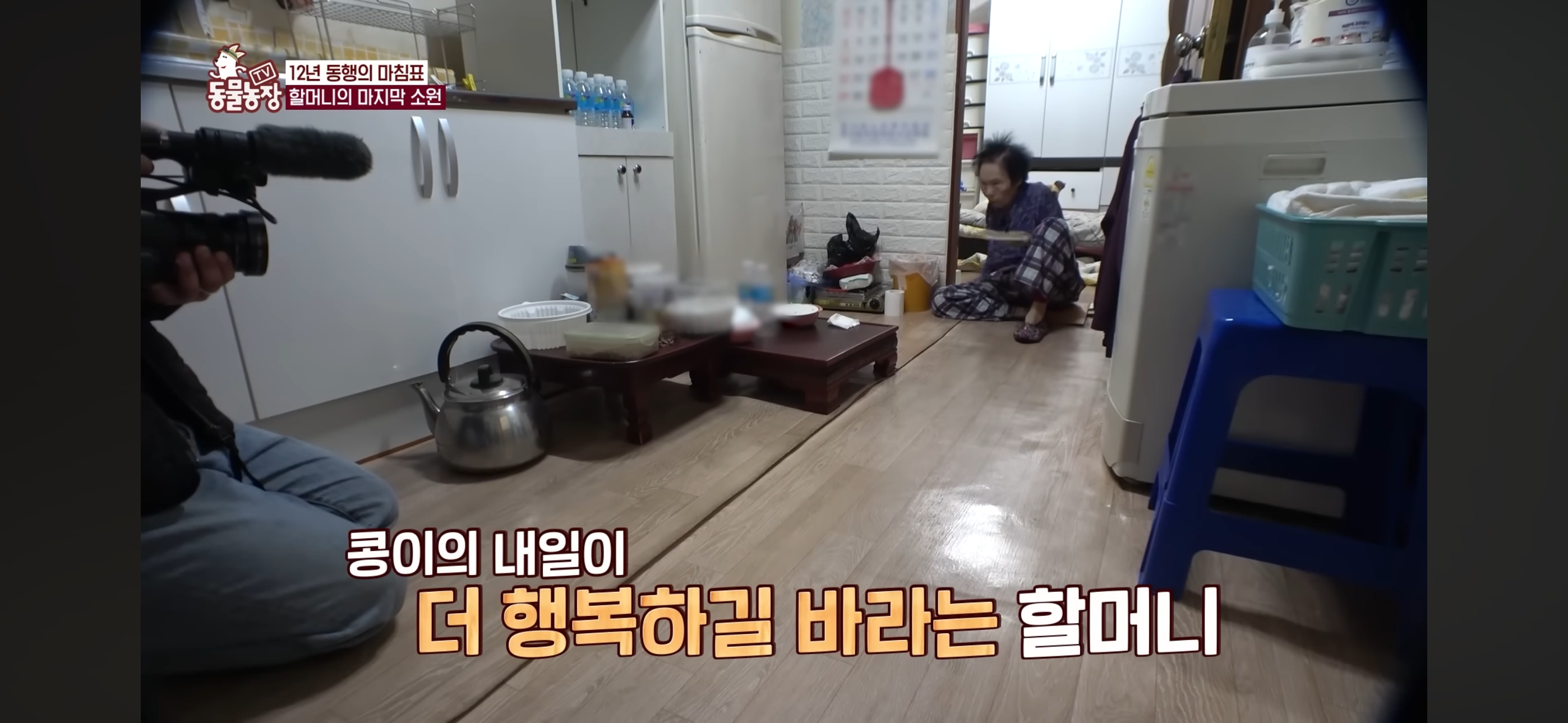 [동물농장]-87세-할머니가-병원-치료를-거부한-이유-71-이미지