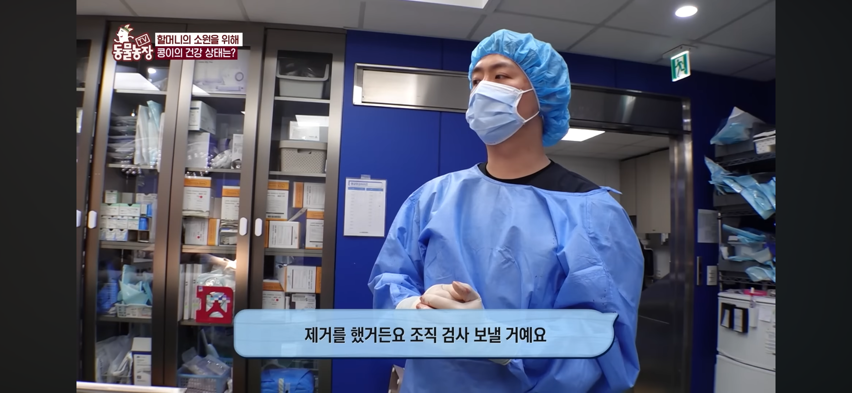 [동물농장]-87세-할머니가-병원-치료를-거부한-이유-90-이미지