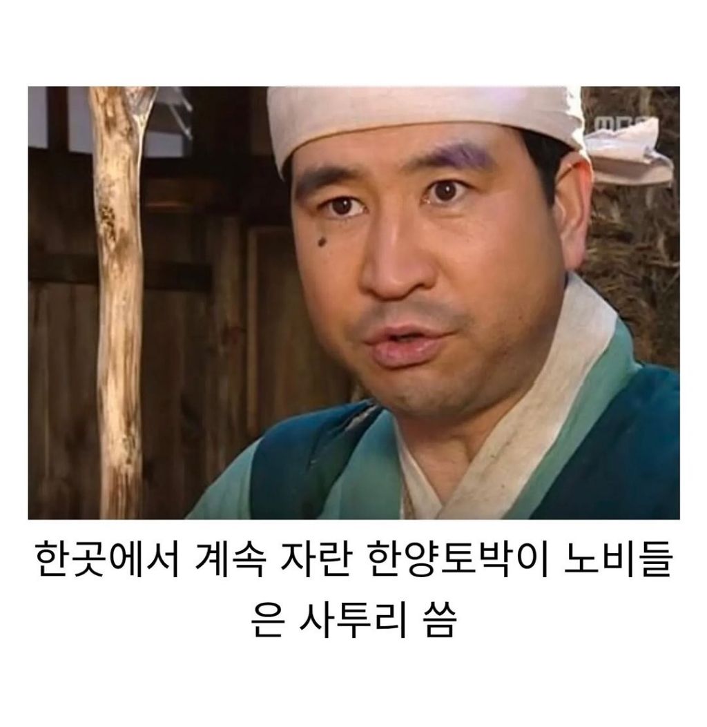 생각해보면-이상한-사극-고증-1-이미지