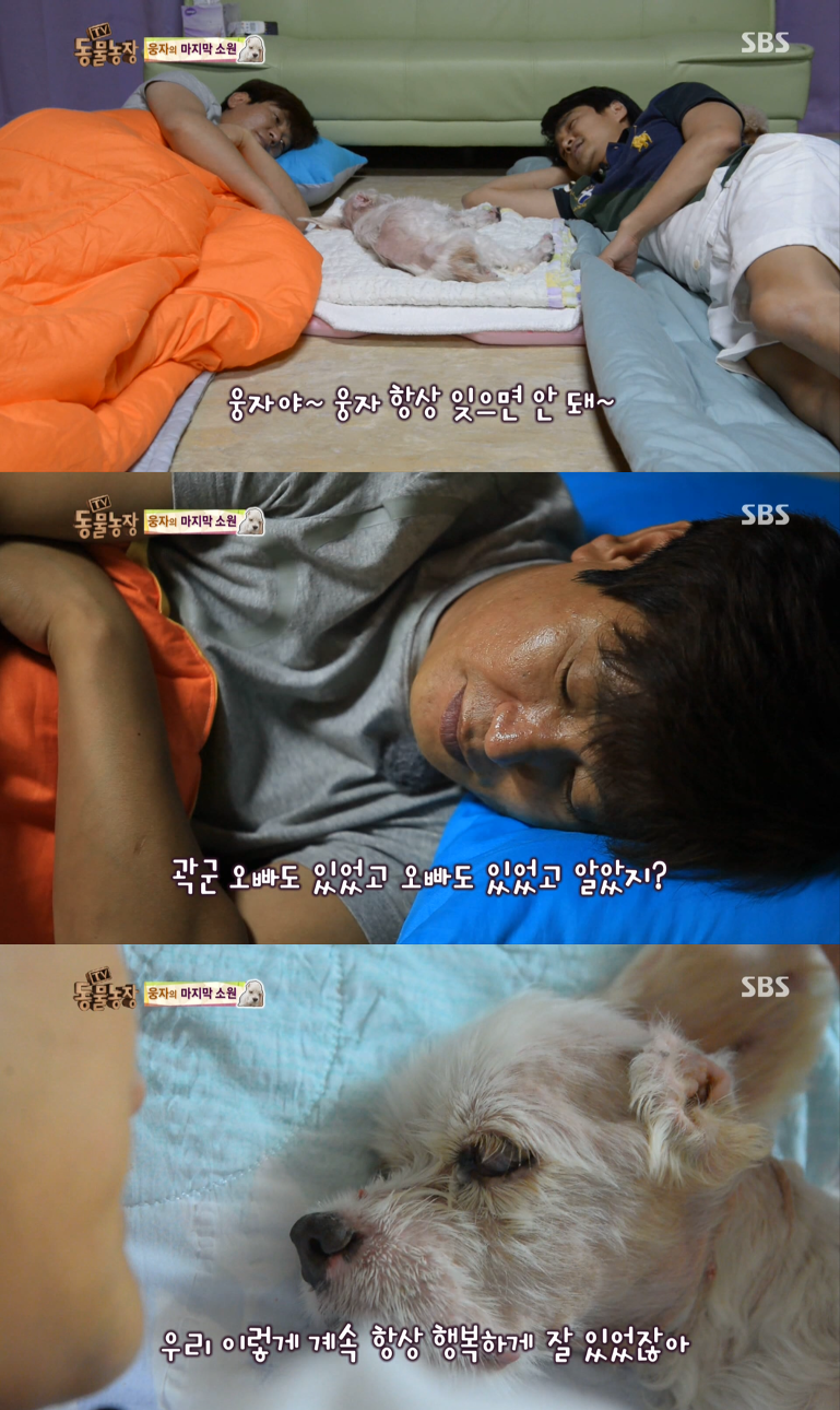 동물농장이-낳은-스타강아지-웅자,-그-후의-이야기-32-이미지