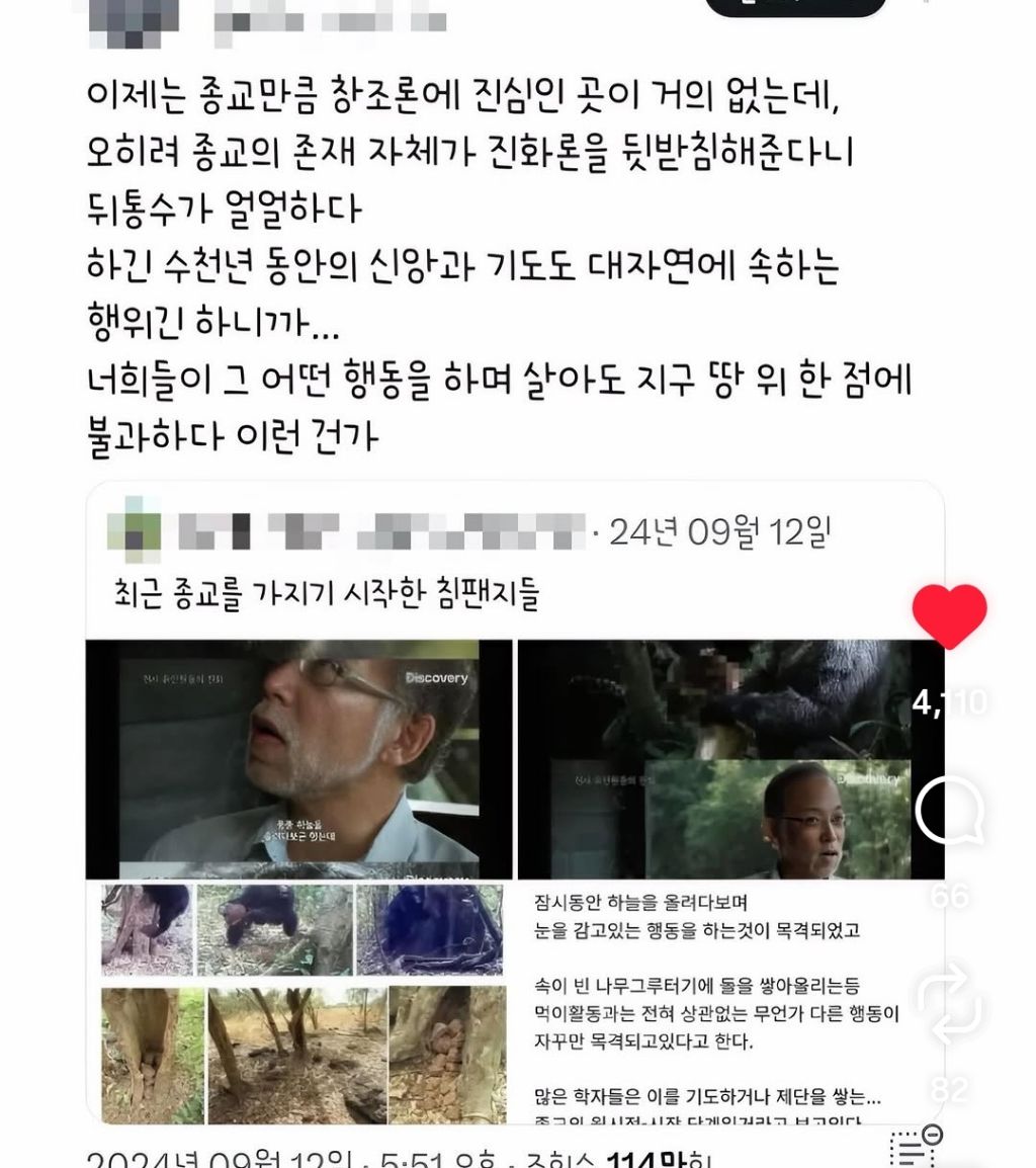 최근-종교를-가지기-시작한-침팬치들-4-이미지