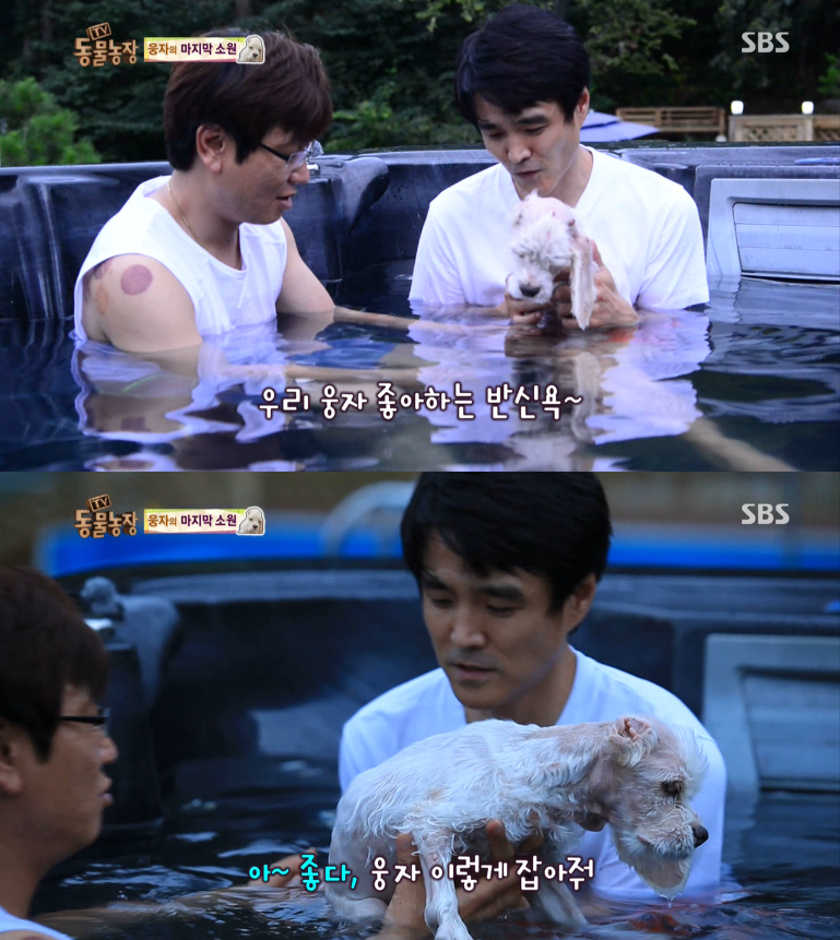 동물농장이-낳은-스타강아지-웅자,-그-후의-이야기-30-이미지