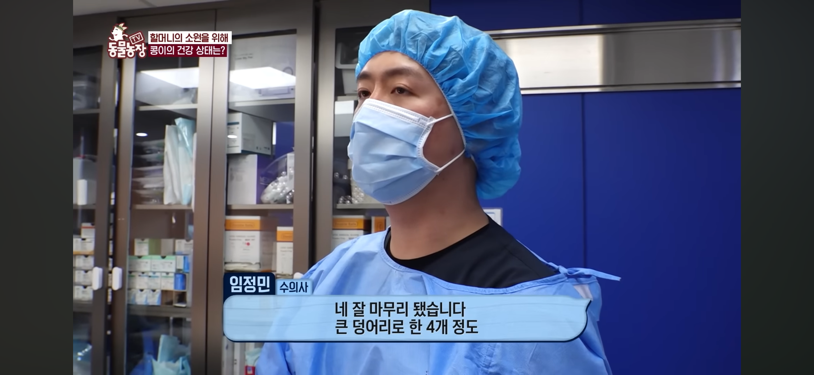 [동물농장]-87세-할머니가-병원-치료를-거부한-이유-89-이미지