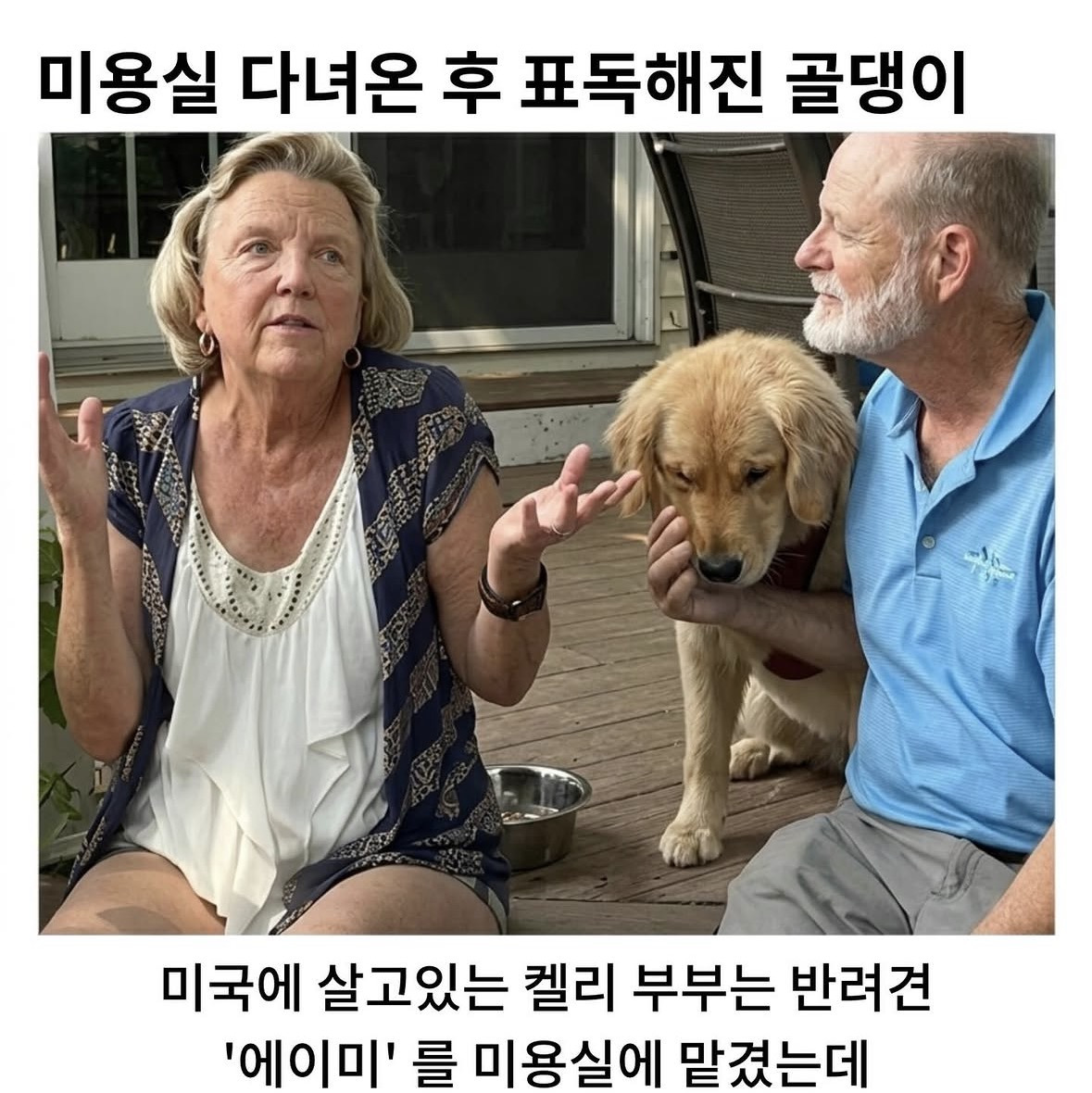 미용실-다녀온-후-사춘기-씨게-온-골댕이.jpg-1-이미지